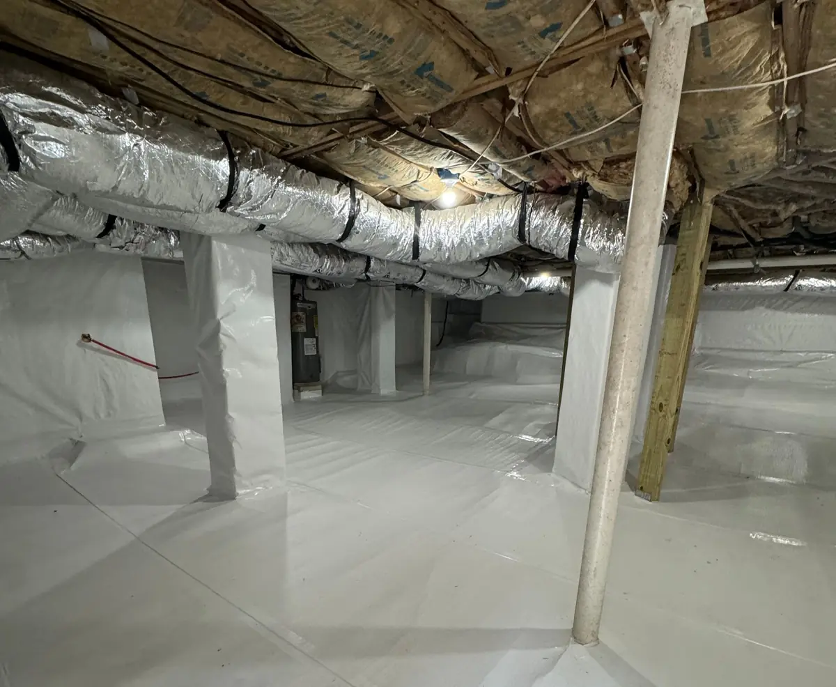 Basement and Crawl Space Mold in Atlanta: Why It Keeps Coming Back and How to Stop It